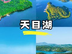 -紫藤园·天目湖大鱼头(南山竹海店)
