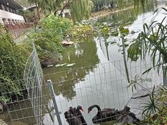 -上海怡沁园度假酒店