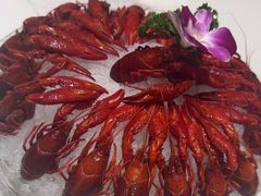 -京悦南门涮羊肉·羊蝎子火锅(田林路店)
