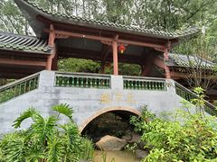 -广州神农草堂中医药博物馆