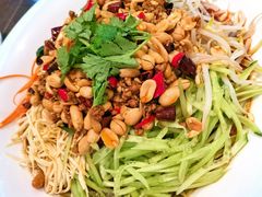 家常凉拌菜-东北大院·东北菜(三台子店)