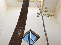 -红旗渠风景区
