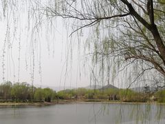 -北坞公园