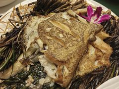 -老吉堂上海本帮菜(望京万象汇店)