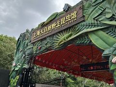 -上海大自然野生昆虫馆(东方明珠·爬宠昆虫探索中心)