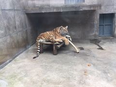 -西安秦岭野生动物园