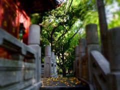 -汇龙潭