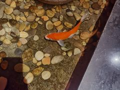 -颐和•海鲜砂锅粥•啫啫煲(奥林匹克广场店)