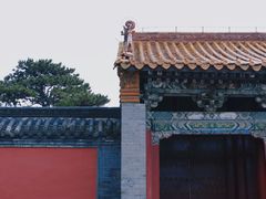 -北陵公园