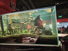 -清真·艾美可餐厅(鹏欣水游城店)