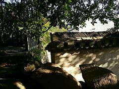 -塔川景区