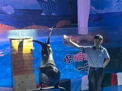 -顺德南宏海立方海洋公园