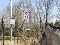 -滨河世纪广场公园