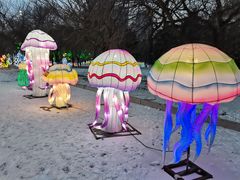 -沈阳奥体冰雪嘉年华