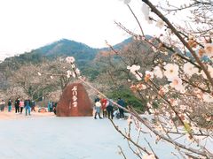-广州市石门国家森林公园