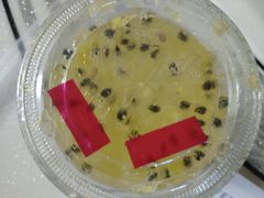-代数学家algebraist(诚品店)