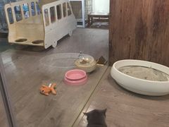 -宠物世家(仲盛世界商城店)