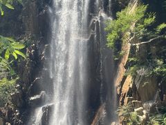 -陕西省红河谷森林公园