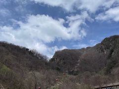 -牛背梁国家森林公园