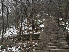 -紫金山天文台