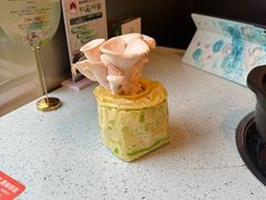 -烹然四季椰子鸡火锅(团结湖总店)