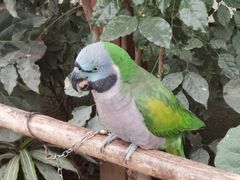 -南宫五洲植物乐园