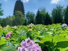 -西安博物院