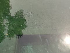 -百脉泉景区