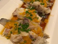 -千灯盛汇·头牌粤菜(致越优城店)