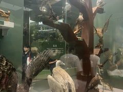 -国家自然博物馆