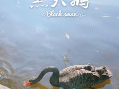 -颐和园
