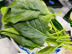 菠菜-鑫龙火锅城(青岛分店)