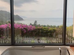 -半山半岛洲际度假酒店·观海廊
