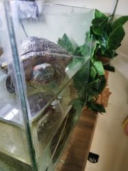 -和寿堂·艾灸·推拿按摩减肥中心