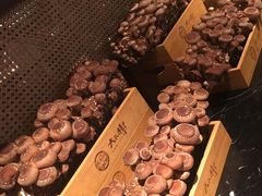 -大头椰·椰子鸡火锅(新梦店)