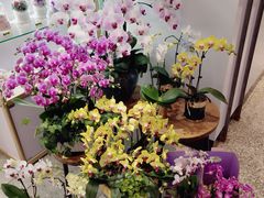 -EPOQUE·一刻花店(兴业太古汇店)