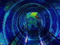 -上海梵高星空艺术馆(南京路旗舰店)
