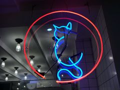 -滚猫咖啡·猫咖·猫友好撸猫(未来城店)