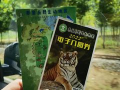 -秦皇岛野生动物园