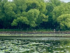 -长春市南湖公园