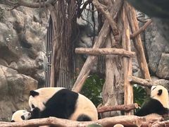 -香港海洋公园