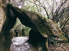 -山王坪喀斯特国家生态公园