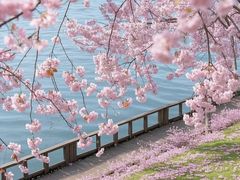 -凤凰汇购物中心