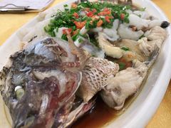 葱油淋大罗非鱼-鸽王世家(东华东路店)