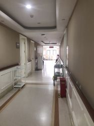 -玛丽亚妇产医院
