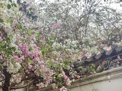 -深圳国际园林花卉博览园