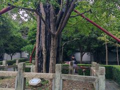 -上海佘山国家森林公园天马山园