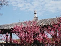 -梁鸿国家湿地公园