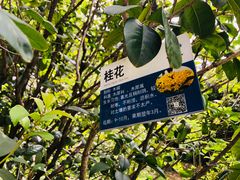 -云溪植物园