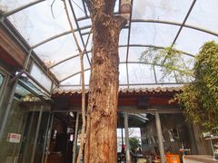 -zarah(鼓楼店)